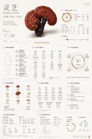 Generates a highly detailed, grid-based infographic poster detailing the...