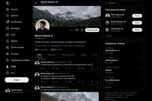 A photorealistic desktop X-style profile interface in French, useful for...