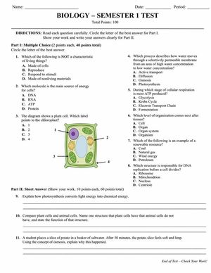 Generates a realistic, structured academic test paper with multiple-choi...